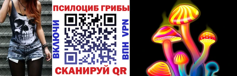 сайты даркнета какой сайт  Вуктыл  Галлюциногенные грибы Cubensis 